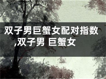 双子男巨蟹女配对指数,双子男 巨蟹女