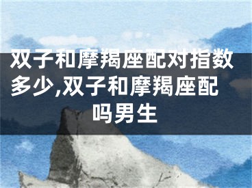 双子和摩羯座配对指数多少,双子和摩羯座配吗男生