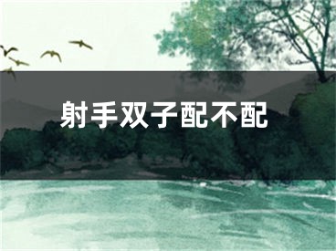 射手双子配不配