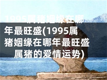 1995属猪姻缘在哪年最旺盛(1995属猪姻缘在哪年最旺盛 属猪的爱情运势)