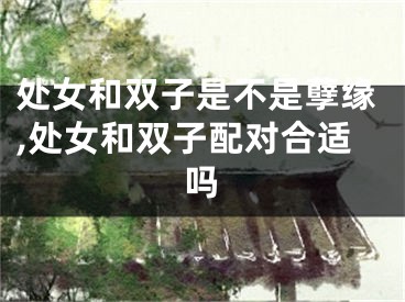 处女和双子是不是孽缘,处女和双子配对合适吗