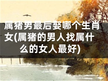 属猪男最后娶哪个生肖女(属猪的男人找属什么的女人最好)