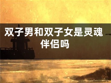 双子男和双子女是灵魂伴侣吗