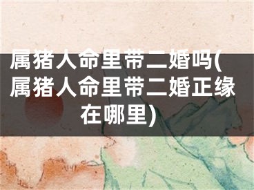 属猪人命里带二婚吗(属猪人命里带二婚正缘在哪里)