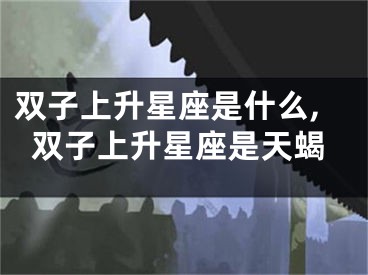 双子上升星座是什么,双子上升星座是天蝎