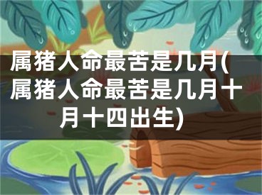 属猪人命最苦是几月(属猪人命最苦是几月十月十四出生)
