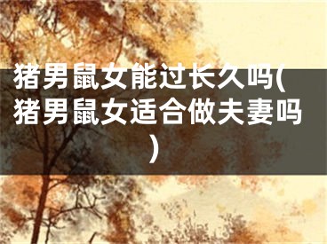 猪男鼠女能过长久吗(猪男鼠女适合做夫妻吗)