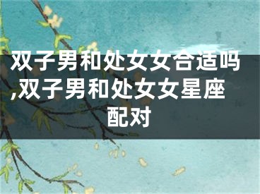 双子男和处女女合适吗,双子男和处女女星座配对