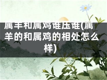 属羊和属鸡谁压谁(属羊的和属鸡的相处怎么样)