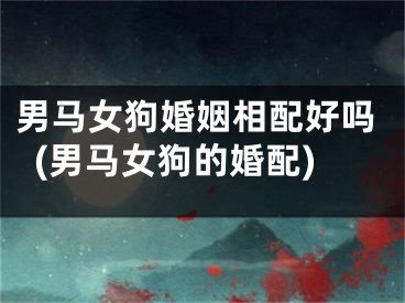 男马女狗婚姻相配好吗(男马女狗的婚配)