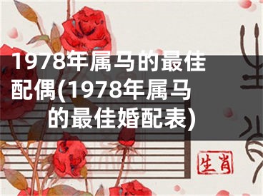 1978年属马的最佳配偶(1978年属马的最佳婚配表)