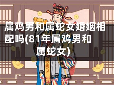 属鸡男和属蛇女婚姻相配吗(81年属鸡男和属蛇女)