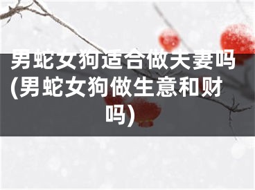 男蛇女狗适合做夫妻吗(男蛇女狗做生意和财吗)