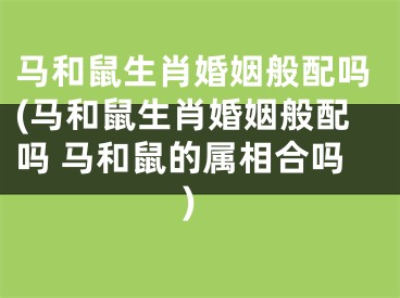 马和鼠生肖婚姻般配吗(马和鼠生肖婚姻般配吗 马和鼠的属相合吗)