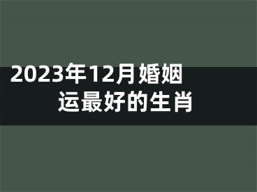 2023年12月婚姻运最好的生肖