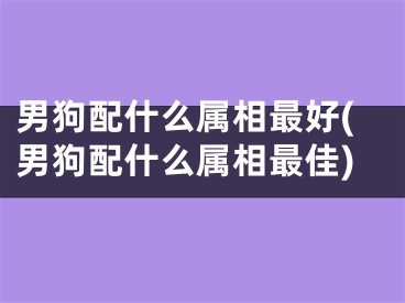 男狗配什么属相最好(男狗配什么属相最佳)