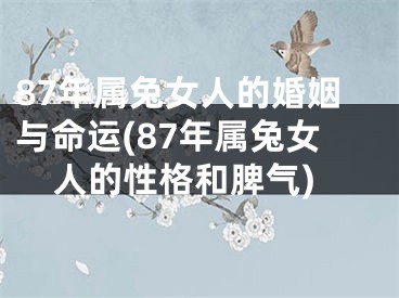 87年属兔女人的婚姻与命运(87年属兔女人的性格和脾气)