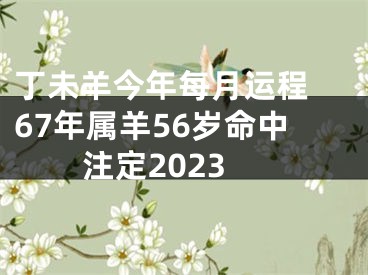 丁未羊今年每月运程 67年属羊56岁命中注定2023