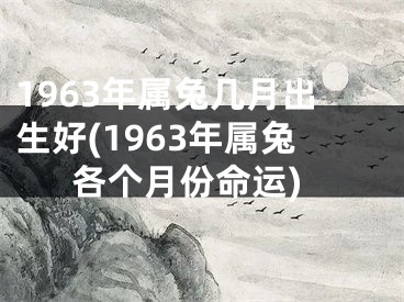 1963年属兔几月出生好(1963年属兔各个月份命运)