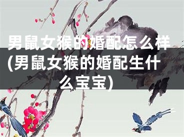 男鼠女猴的婚配怎么样(男鼠女猴的婚配生什么宝宝)