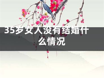 35岁女人没有结婚什么情况