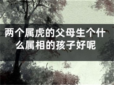 两个属虎的父母生个什么属相的孩子好呢