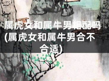 属虎女和属牛男相配吗(属虎女和属牛男合不合适)
