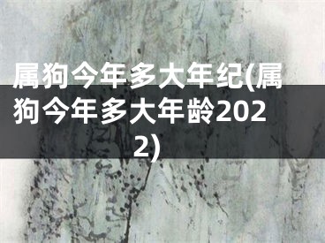 属狗今年多大年纪(属狗今年多大年龄2022)
