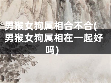 男猴女狗属相合不合(男猴女狗属相在一起好吗)