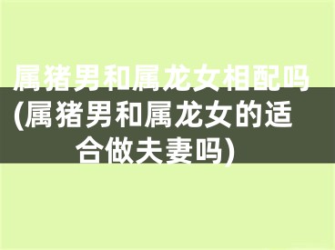 属猪男和属龙女相配吗(属猪男和属龙女的适合做夫妻吗)