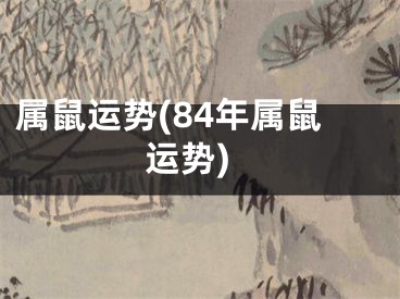 属鼠运势(84年属鼠运势)