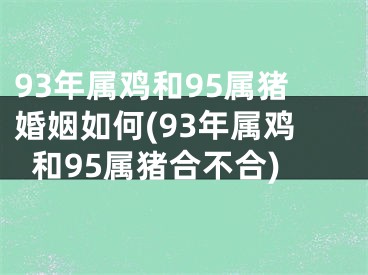 93年属鸡和95属猪婚姻如何(93年属鸡和95属猪合不合)