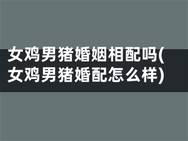 女鸡男猪婚姻相配吗(女鸡男猪婚配怎么样)