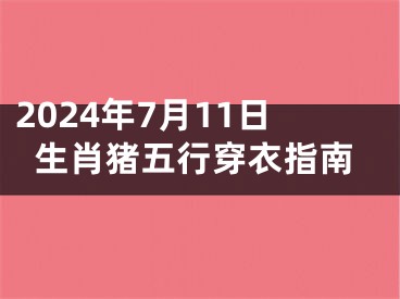 2024年7月11日生肖猪五行穿衣指南