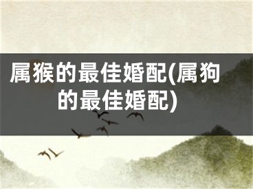 属猴的最佳婚配(属狗的最佳婚配)