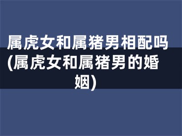 属虎女和属猪男相配吗(属虎女和属猪男的婚姻)