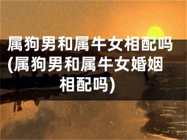 属狗男和属牛女相配吗(属狗男和属牛女婚姻相配吗)
