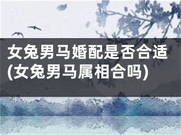 女兔男马婚配是否合适(女兔男马属相合吗)