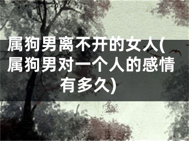 属狗男离不开的女人(属狗男对一个人的感情有多久)