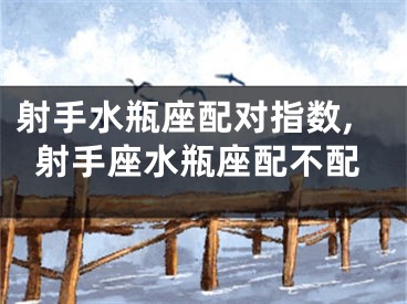 射手水瓶座配对指数,射手座水瓶座配不配