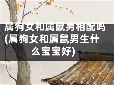 属狗女和属鼠男相配吗(属狗女和属鼠男生什么宝宝好)