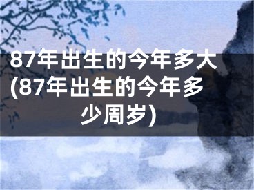 87年出生的今年多大(87年出生的今年多少周岁)