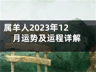 属羊人2023年12月运势及运程详解