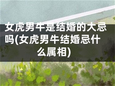 女虎男牛是结婚的大忌吗(女虎男牛结婚忌什么属相)