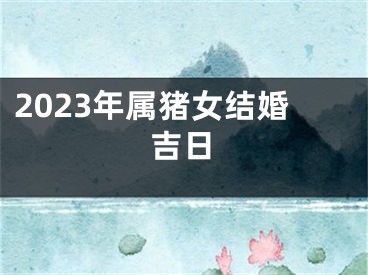 2023年属猪女结婚吉日