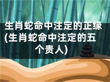 生肖蛇命中注定的正缘(生肖蛇命中注定的五个贵人)