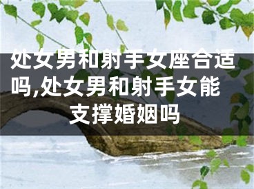 处女男和射手女座合适吗,处女男和射手女能支撑婚姻吗