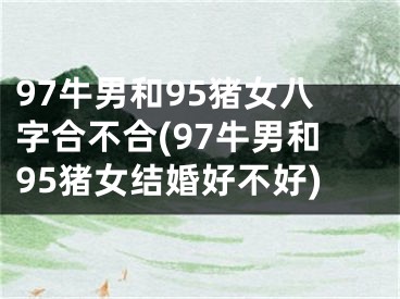97牛男和95猪女八字合不合(97牛男和95猪女结婚好不好)