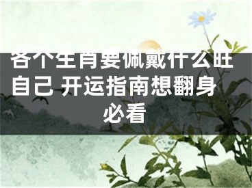 各个生肖要佩戴什么旺自己 开运指南想翻身必看