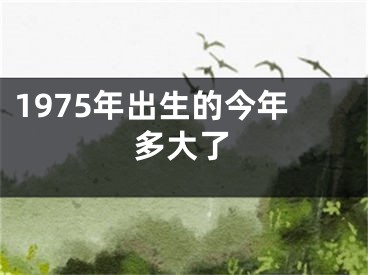 1975年出生的今年多大了